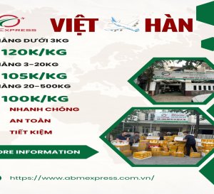 Vận chuyển hàng từ Việt Nam tới Hàn Quốc cùng ABM Express – Chuyên nghiệp và đáng tin cậy!